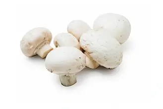 Champiñón cortado grueso