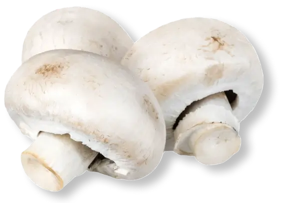 Crecemos sin perder la esencia