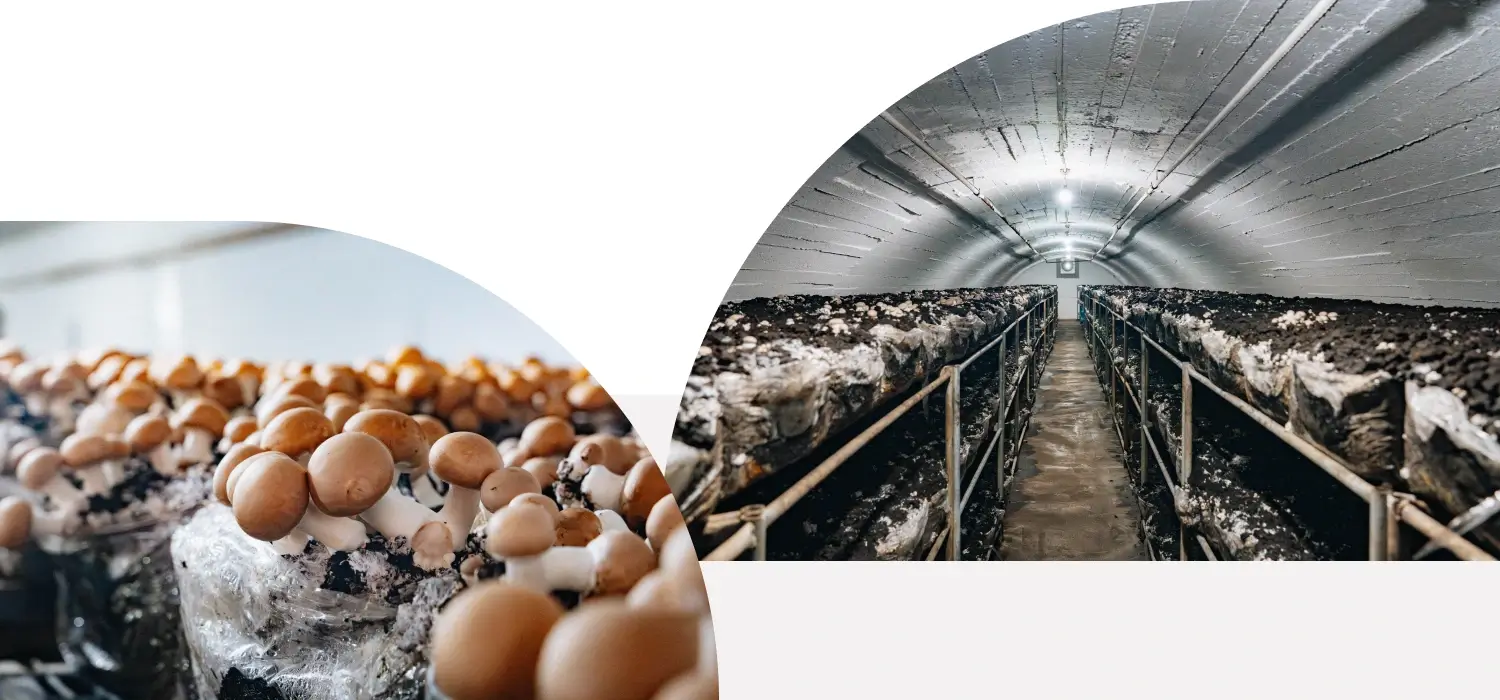 Instalaciones preparadas