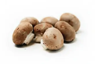 Portobello cortado en granel