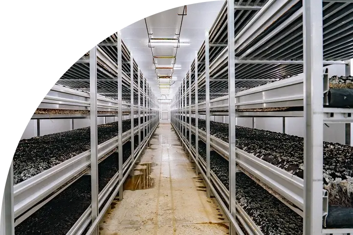 Tradición e innovación